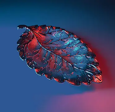Portfolio7