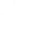 Vector (4)