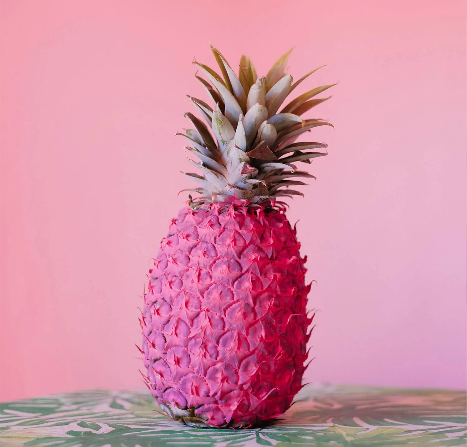 Portfolio6